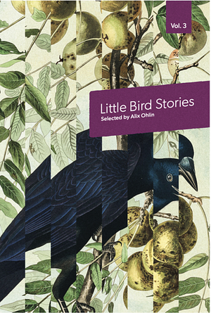 Little Bird Stories, Volume 3 by Alix Ohlin