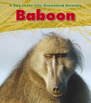 Baboon by Louise Spilsbury