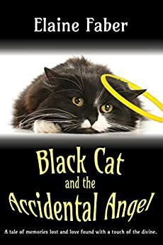 Black Cat and the Accidental Angel by Elaine Faber