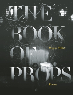 The Book of Props by Wayne Miller