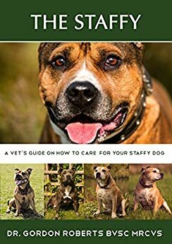 Staffy: A vet's guide on how to care for your Staffy dog by Gordon Roberts