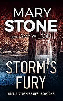 Storm's Fury by Amy Wilson, Mary Stone