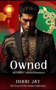 Owned: An AMBW Yakuza Romance by Imani Jay