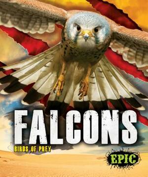 Falcons by Nathan Sommer