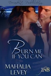 Burn Me if You Can by Mahalia Levey