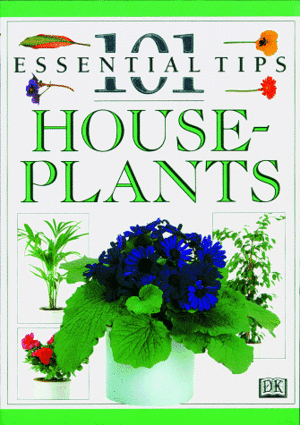 House Plants by John Brookes