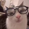 chamaleonsoul's profile picture
