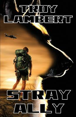 Stray Ally by Troy Lambert