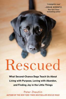 Rescued: What Second-Chance Dogs Teach Us about Living with Purpose, Loving with Abandon, and Finding Joy in the Little Things by Peter Zheutlin