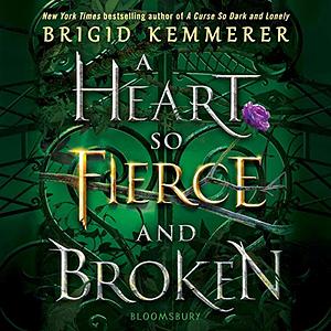 A Heart So Fierce and Broken by Brigid Kemmerer