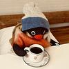 janineffer's profile picture
