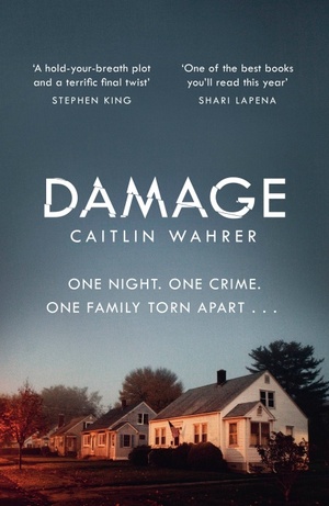 Damage by Caitlin Wahrer