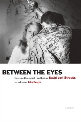 Between the Eyes: Essays on Photography and Politics by David Levi Strauss