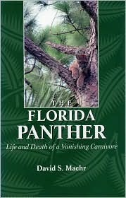 The Florida Panther: Life And Death Of A Vanishing Carnivore by David Maehr
