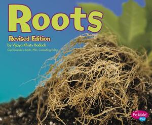 Roots by Vijaya Khisty Bodach