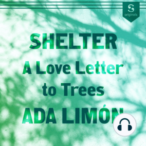 Shelter: A Love Letter to Trees  by Ada Limón