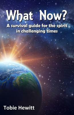 What Now?: A survival guide for the spirit in challenging times by Tobie Hewitt