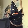 frogtismo's profile picture