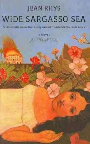 Wide Sargasso sea by Jean Rhys, Edwidge Danticat