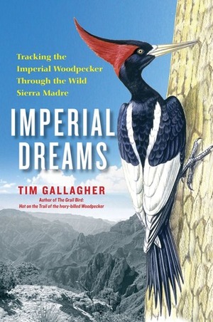 Imperial Dreams: Tracking the Imperial Woodpecker Through the Wild Sierra Madre by Tim Gallagher
