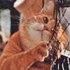 norahhere's profile picture