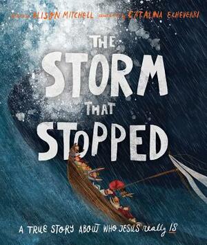 The Storm That Stopped: A True Story about Who Jesus Really Is by Alison Mitchell