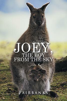 Joey, the Boy from the Sky by Fairbanks