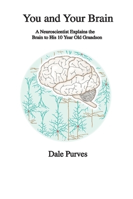 You and Your Brain: A Neuroscientist Explains the Brain to His 10 Year Old Grandson by Dale Purves