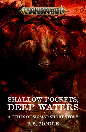 Shallow Pockets, Deep Waters by R. S. Moule