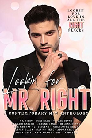 Lookin' For Mr. Right by Aspen Black, Logan Grey, Helena Novak, Bee Murray, Suki Gale, Kinkaid Knight, Sariah Skye, Adora Crooks, Joanne Ganci, Tiegan Clyne, Britt Andrews, Maya Nicole, Charlotte Brice, C.J. Vincent, J.J. Riley