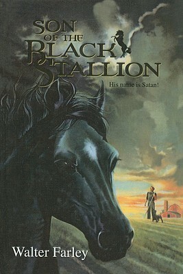 Son of the Black Stallion by Walter Farley