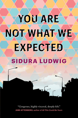 You Are Not What We Expected by Sidura Ludwig