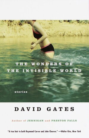 The Wonders Of The Invisible World by David Gates
