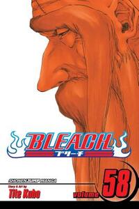 Bleach, Vol. 58: The Fire by Tite Kubo