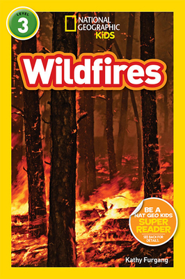 Wildfires by Kathy Furgang