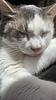 ma_ttie's profile picture