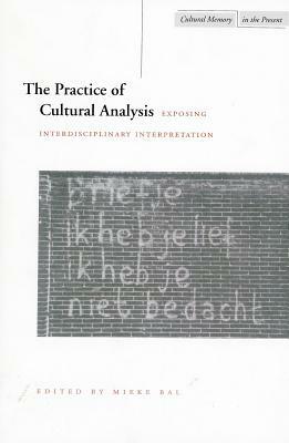 The Practice of Cultural Analysis: Exposing Interdisciplinary Interpretation by 