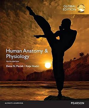Human Anatomy and Physiology, (Hardback), Global Edition by Katja Hoehn, Elaine Nicpon Marieb