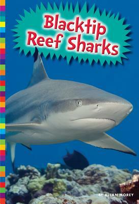 Blacktip Reef Sharks by Allan Morey