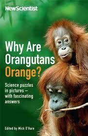 Why are Orangutans Orange?: Science puzzles in pictures - with fascinating answers by Mick O'Hare, New Scientist