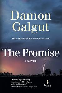 The Promise by Damon Galgut