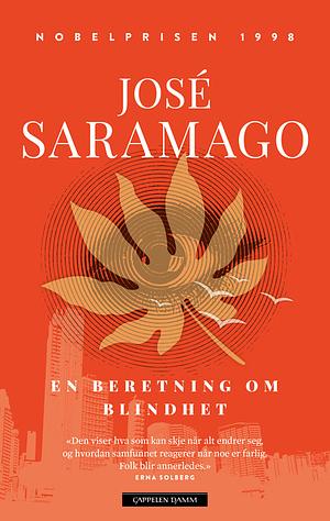 En beretning om blindhet by José Saramago