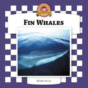 Fin Whales by Kristin Petrie