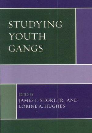 Studying Youth Gangs by David E. Olson, Irving A. Spergel, John M. Hagedorn, Kwai Ming Wa, Mercer L. Sullivan, Stephen E. Lankenau, James F. Short Jr., Brendan D. Dooley, Lorine A. Hughes, Terence P. Thornberry, RolandoVillarreal Sosa, Robert White, Alan J. Lizotte, Bill Sanders, Mark S. Fleisher, Pete Simi, David S. Kirk, Malcolm W. Klein, Gina Penly Hall, Andrew V. Papachristos