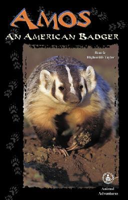 Amos: An American Badger by Bonnie Highsmith Taylor