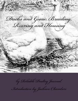 Ducks and Geese: Breeding, Rearing and Housing by Reliable Poultry Journal