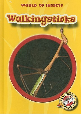 Walkingsticks by Emily K. Green