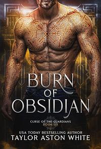 Burn of Obsidian  by Taylor Aston White