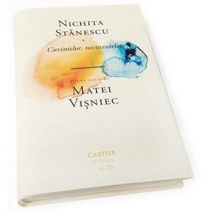 Cuvintelor, necuvintelor by Nichita Stănescu