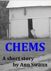 CHEMS - A Short Story by Ann Swann